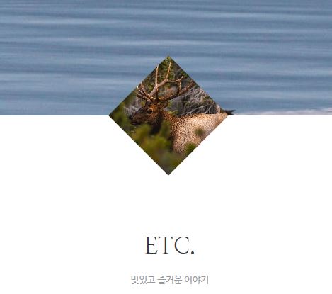 태상의 미니샵에 모인 타운하우스 라이프 노하우 총정리