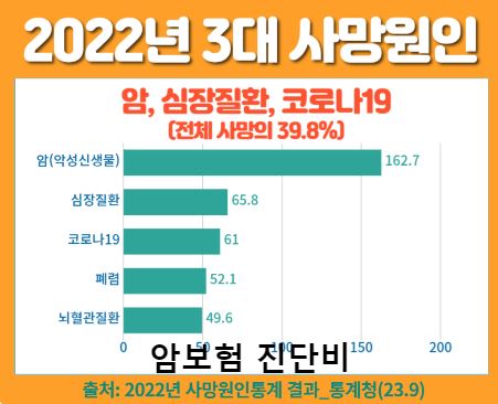 보험비교사이트에서 위즈인슈의 혜택 누리기
